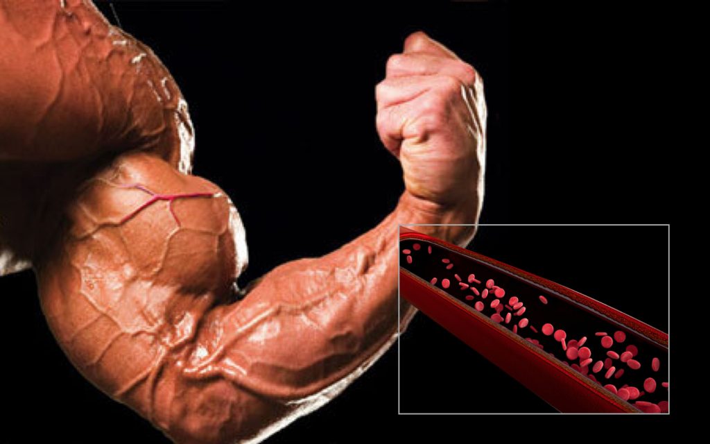 Vascularización muscular: ¿que es y como incrementarla?